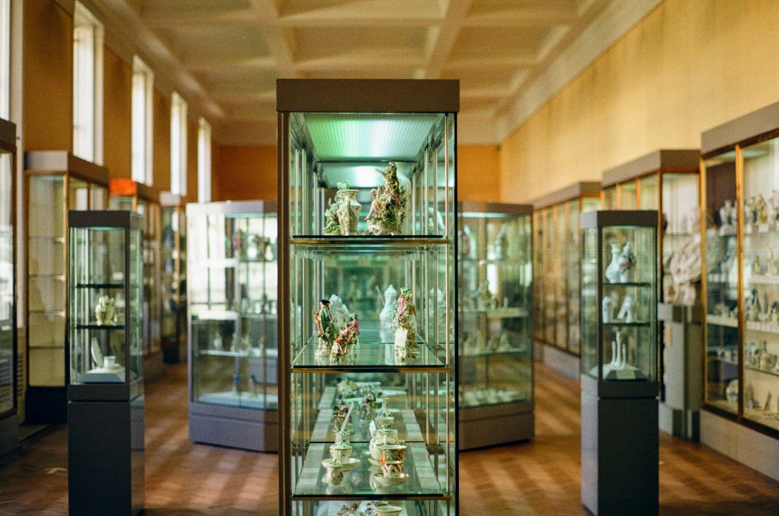 Glass display cases and the surrounding viewing space